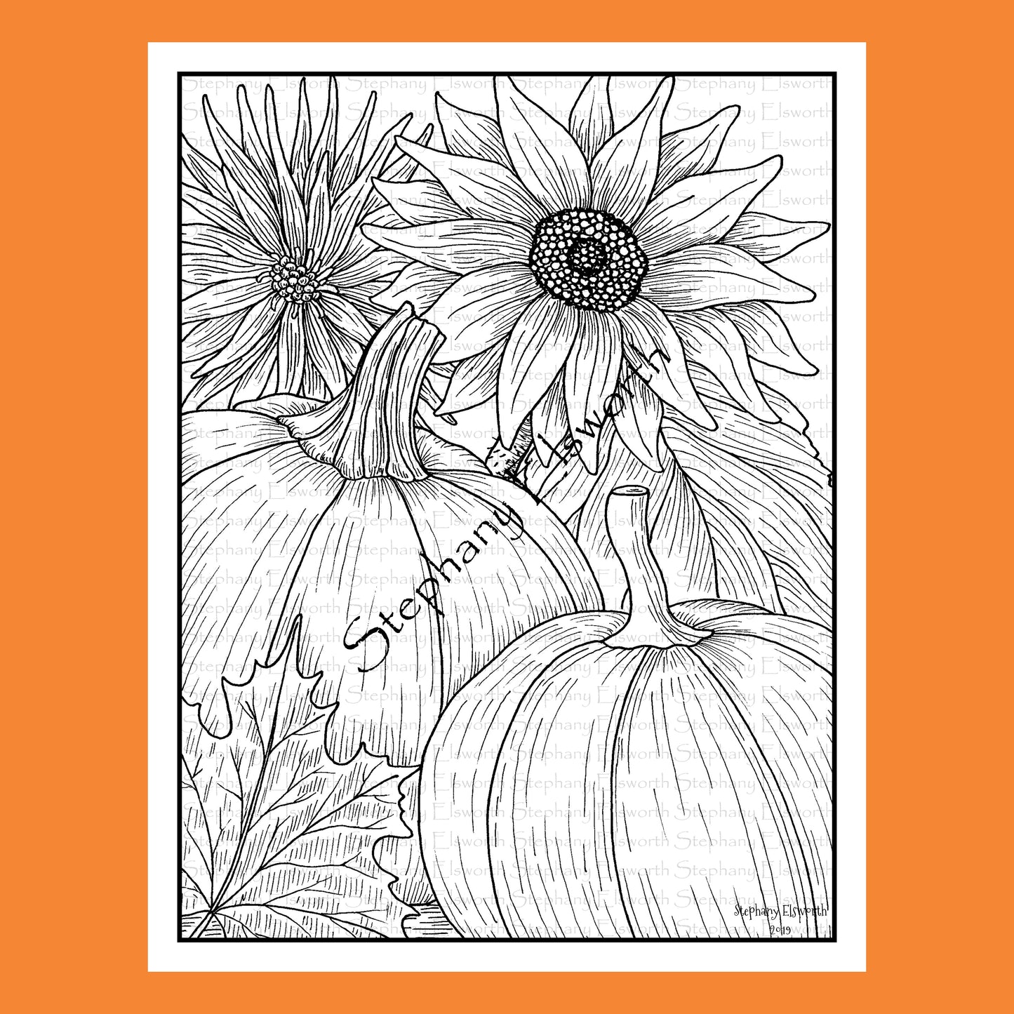 Pumpkins, Sunflower and Aster 8 1/2 x 11 Printable Instant Download Coloring Page