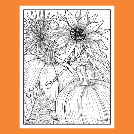 Pumpkins, Sunflower and Aster 8 1/2 x 11 Printable Instant Download Coloring Page