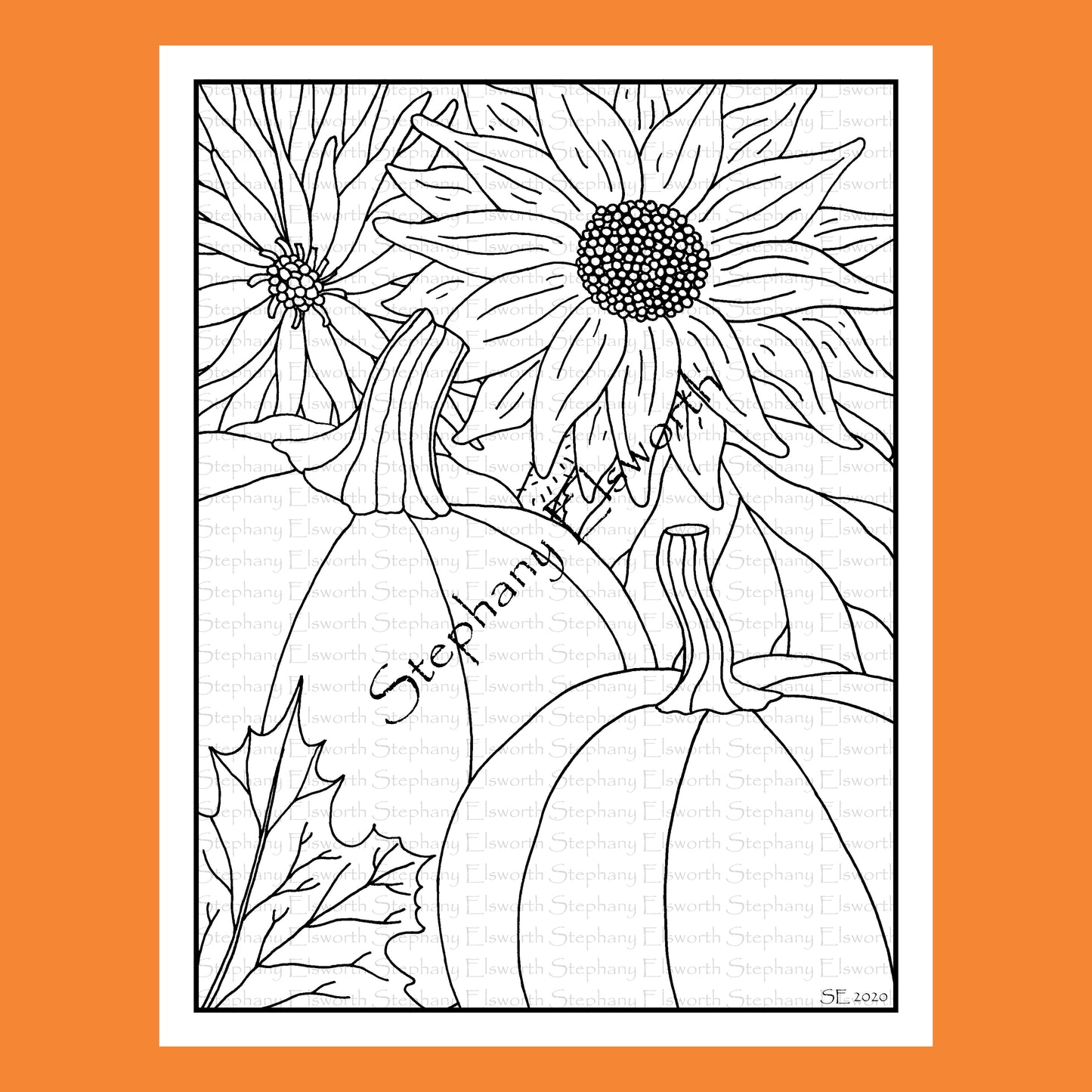 Pumpkins, Sunflower and Aster 8 1/2 x 11 Printable Instant Download Coloring Page