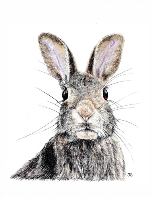 4.25 x 5.5 inch Rabbit Blank Printable Note Card