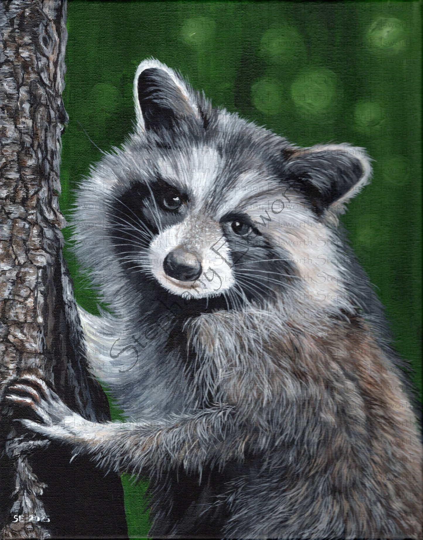 Raccoon 11 x 14 Acrylic Painting in Custom Rustic Frame