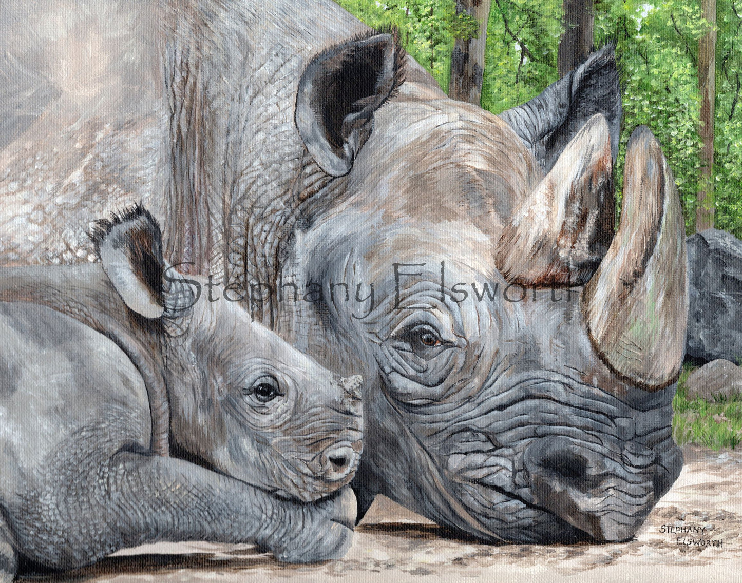 14 x 11 inch Rhinoceros Acrylic on Canvas Original Painting