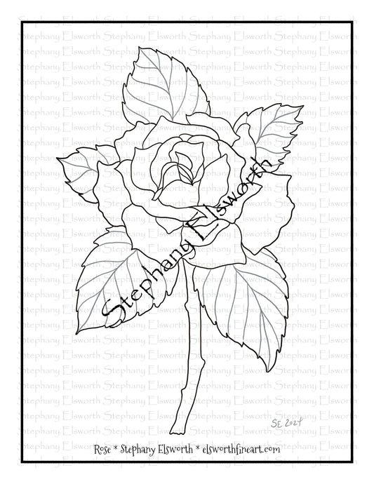 Rose Free Printable PDF Instant Download Coloring Page