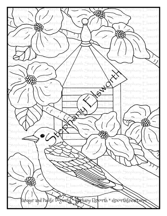 Tanager and Pacific Dogwood Free PDF Digital Download Coloring Page