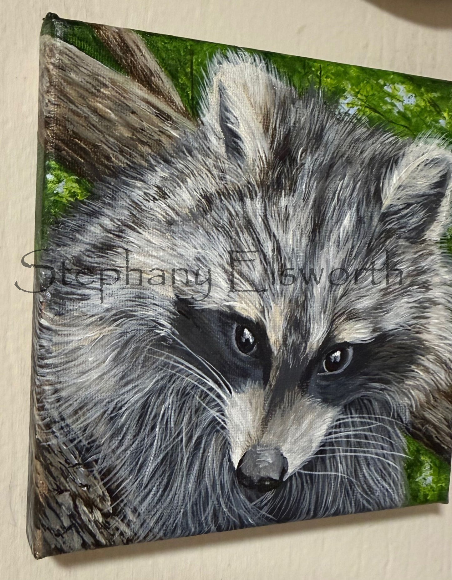 6 x 6 Trouble in the Trees Original Acrylic Miniature Raccoon Painting