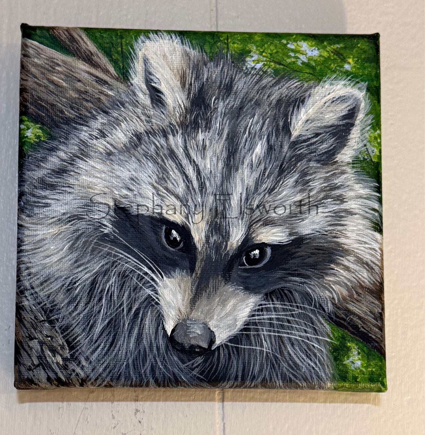 6 x 6 Trouble in the Trees Original Acrylic Miniature Raccoon Painting