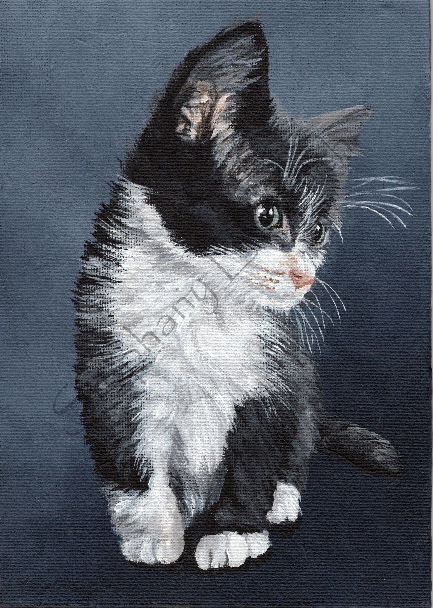 Tuxedo Kitten 5 x 7 inch Original Painting