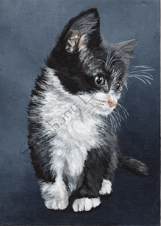 Tuxedo Kitten 5 x 7 inch Original Painting