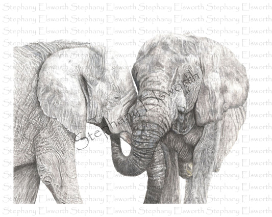 Two Elephants Giclee Print