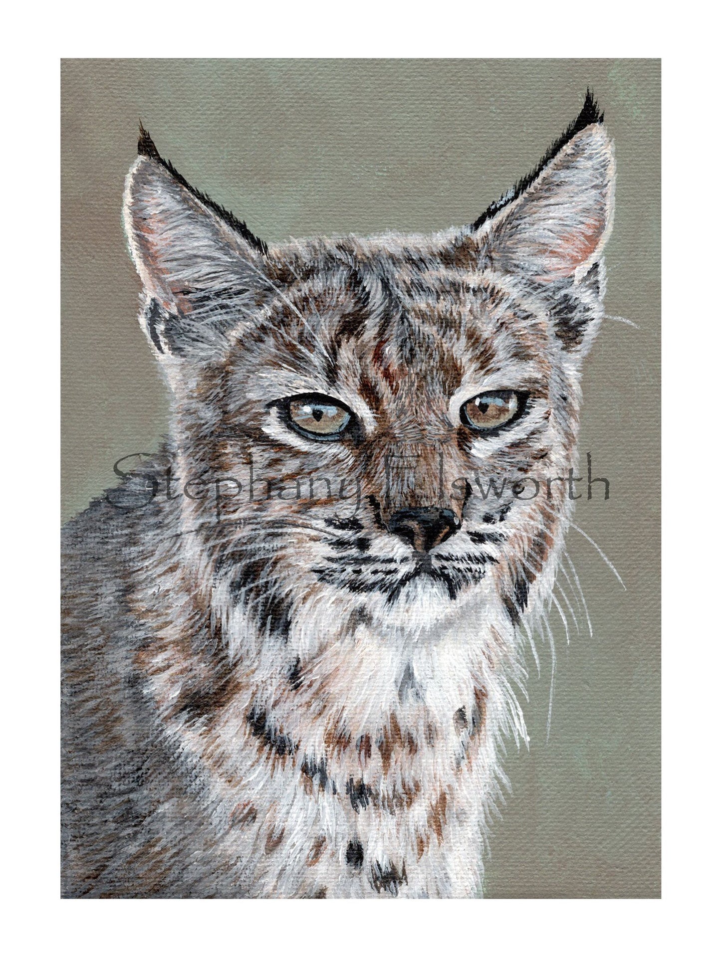 6 x 8 Wildcat Giclee Print