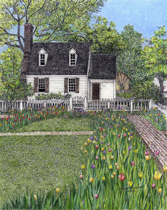 Colonial Williamsburg's Taliaferro Cole House Garden, Williamsburg, VA 8 x 10 Pen and Ink/Colored Pencil Print in 11 x 14 mat