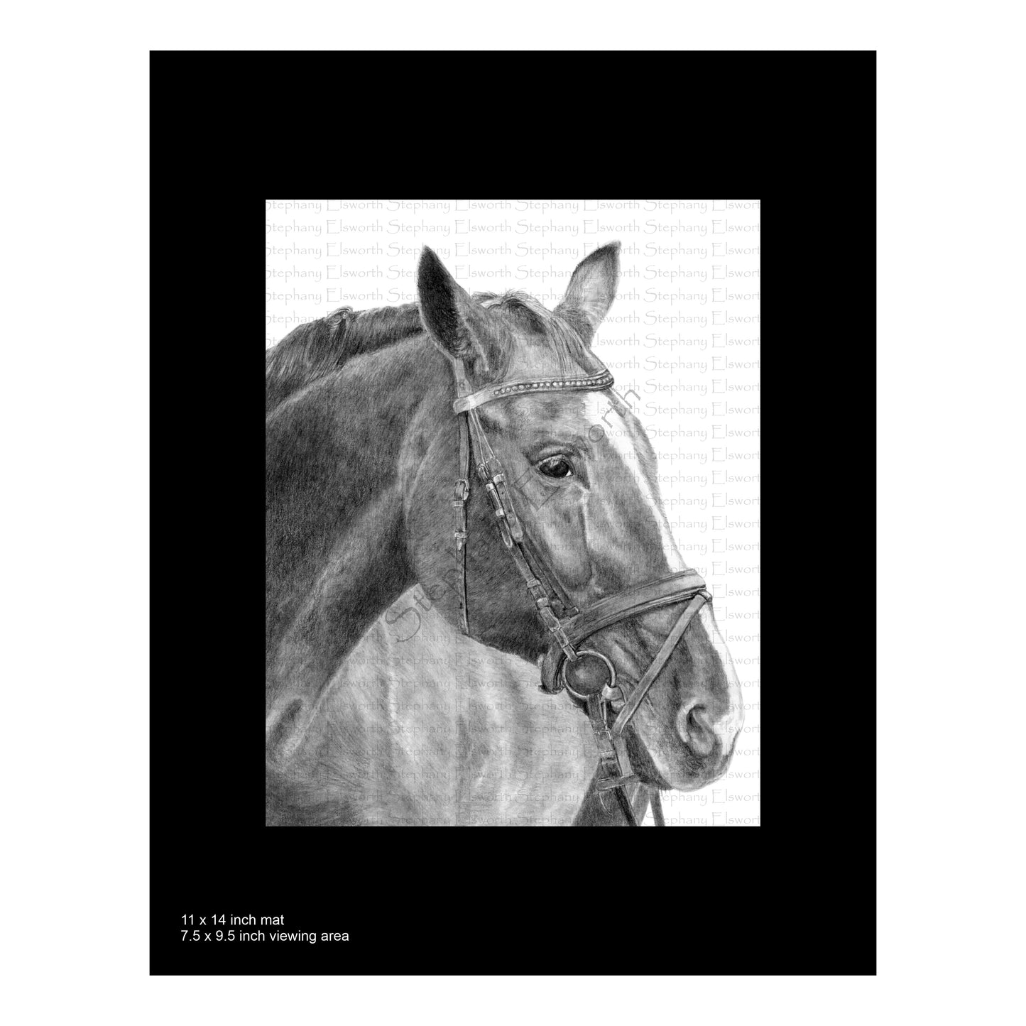 Horse Pencil Drawing 8 x 10 Fine Art Print in 11 x 14 mat