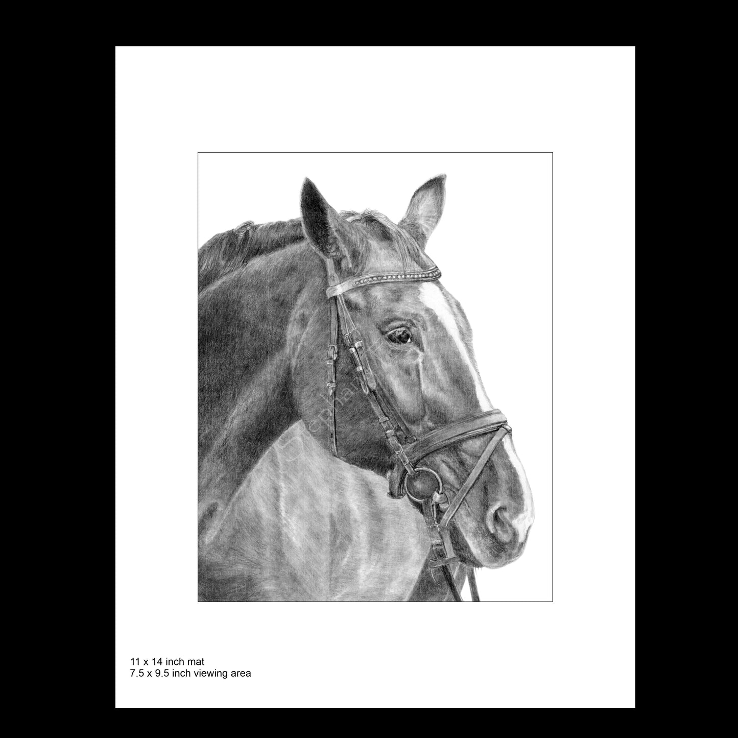 Horse Pencil Drawing 8 x 10 Fine Art Print in 11 x 14 mat